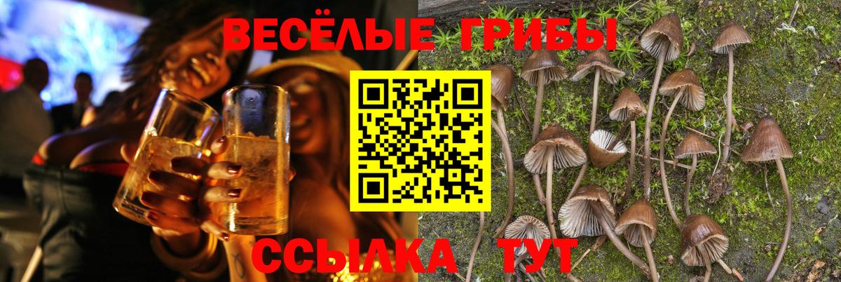 Серпухов  Псилоцибиновые грибы прущие грибы  Вход с VPN 