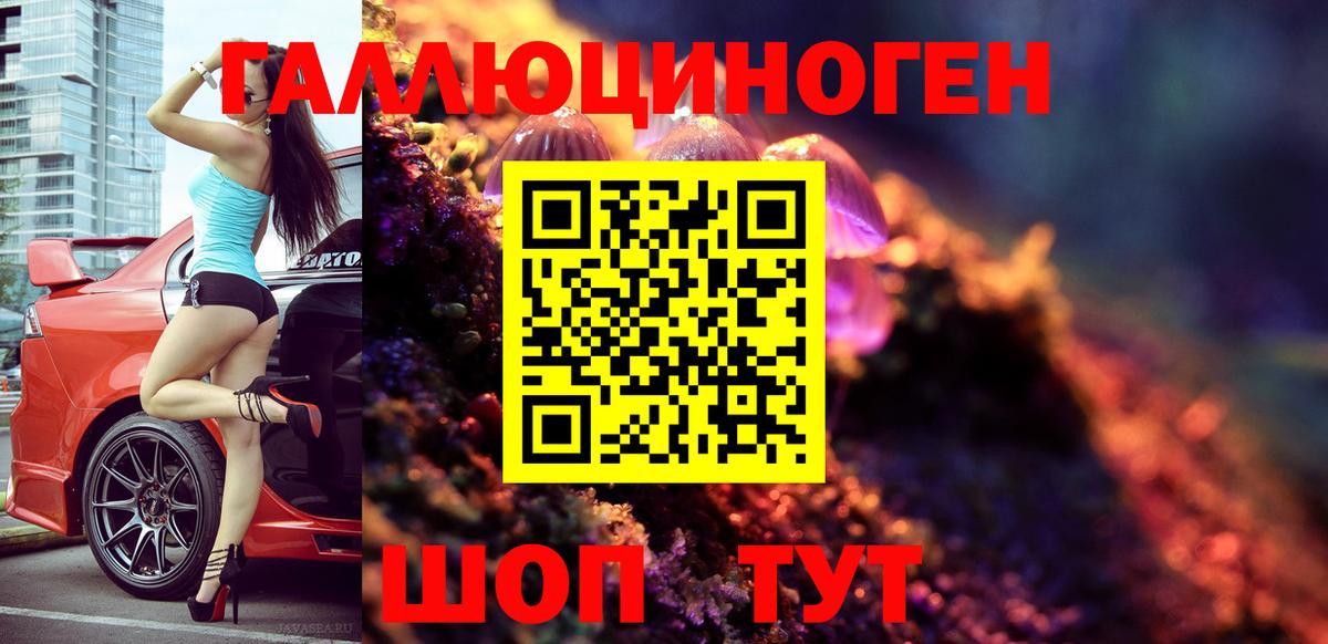 Псилоцибиновые грибы Psilocybe Серпухов